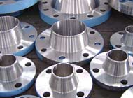 Monel flanges