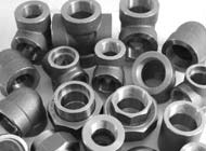 Carbon & Alloy Steel Forged fitting